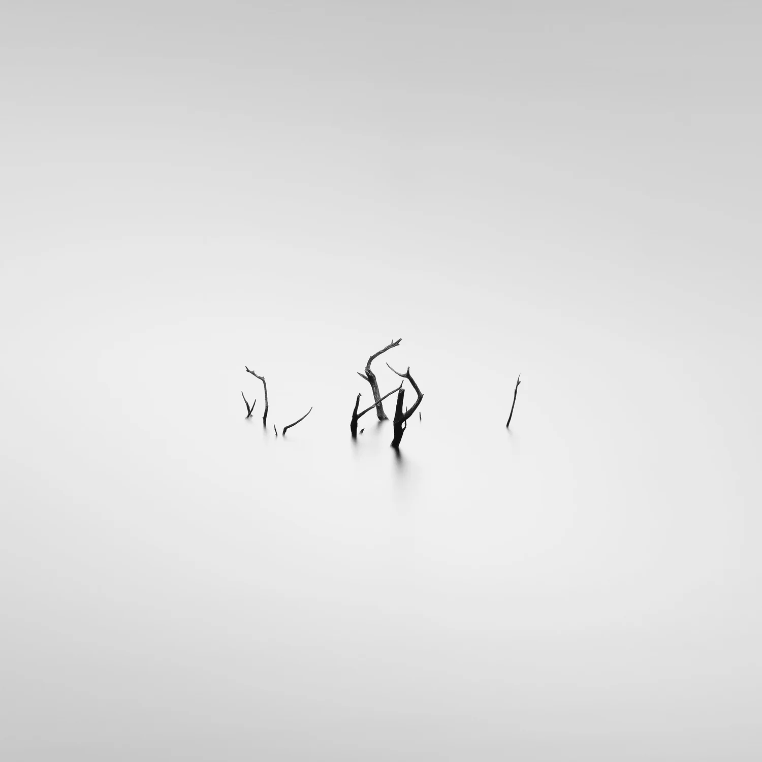 Fingers