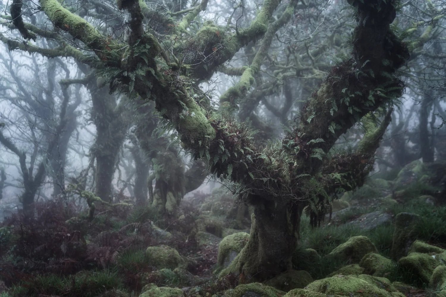 Eerie - Landscape