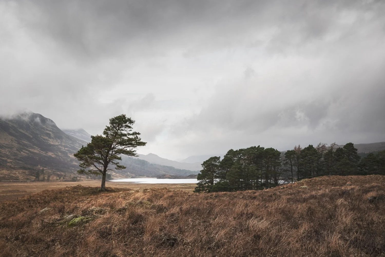Scott's View - Landscape