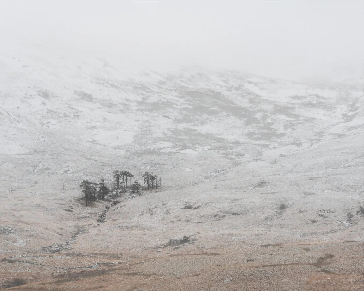 Snow Storm - Landscape
