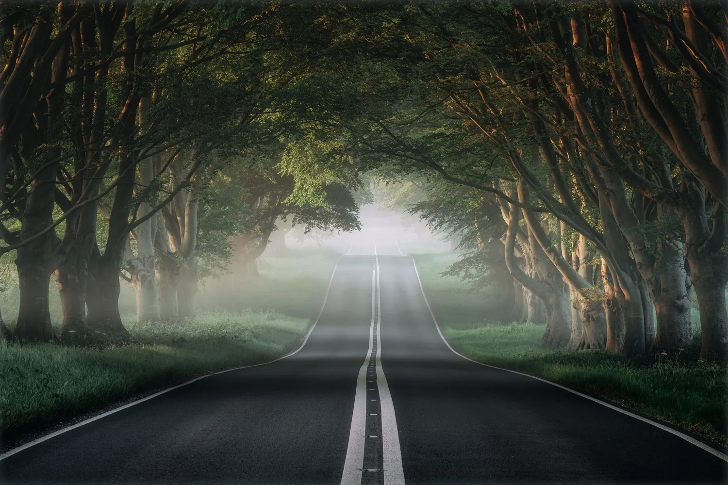 Beach Avenue - Landsacpe