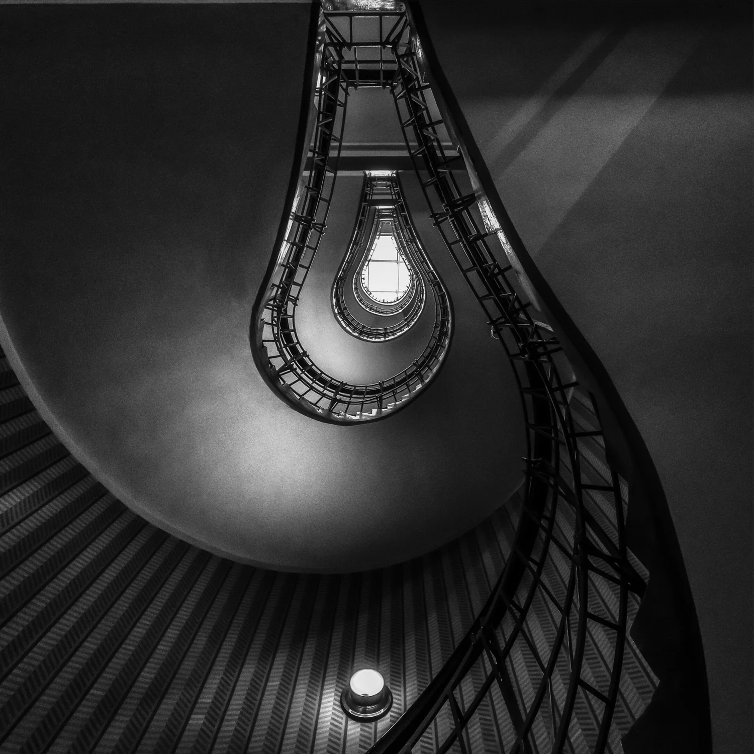 Bulb - Abstract