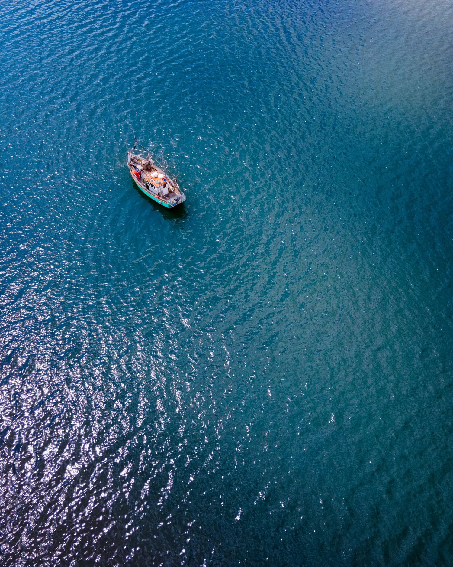 Tropical Exe